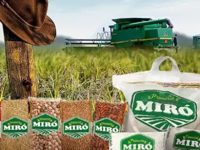 Productos miro arroz